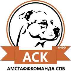 АмстаффКоманда ИНФО СПб