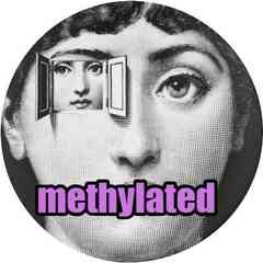 METHYLATED.