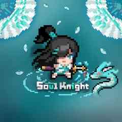 Soul Knight