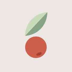 Webberry | Сайты, дизайн, SMM в Германии