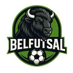 BELFUTSAL (Белорусский футзал, мини-футбол)