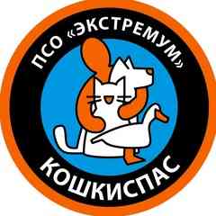 КОШКИСПАС. Спасение животных. 8 (812) 602-7-602