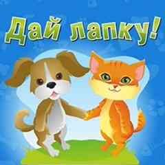 =Дай Лапку= Помощь бездомным животным