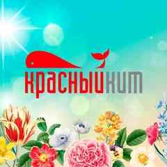 ТРК "Красный Кит" (Мытищи)