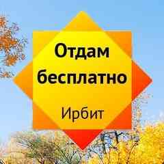 Отдам БЕСПЛАТНО | Ирбит