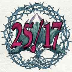 25/17 (группа)