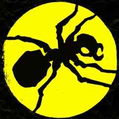 The Prodigy Fans