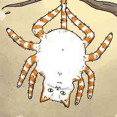 Cat's Art Universe