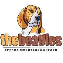 Группа любителей биглей