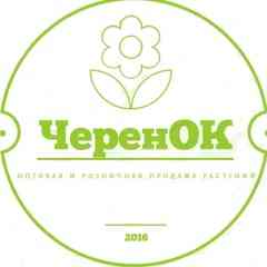ЧеренОК. Оптовая и розничная продажа растений