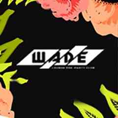 ШADE lounge pre-party club