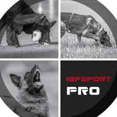 IGPSPORT.PRO