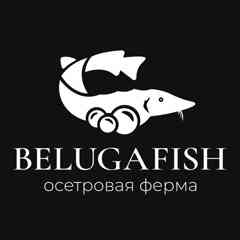 Осетровая ферма Белугафиш