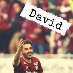 David Villa  Давид Вилья