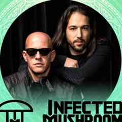 Infected Mushroom