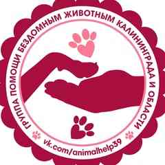 Помощь БЕЗДОМНЫМ животным КАЛИНИНГРАДА[39]