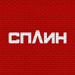 Любители группы СПЛИН