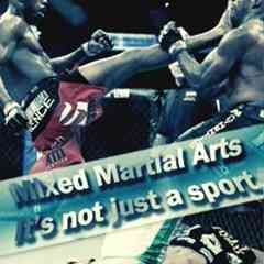 MIXFIGHT CLUB / MMA