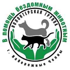 Помощь бездомным животным Набережных Челнов. Тат