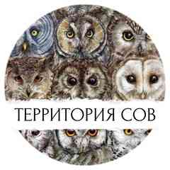 Территория Сов | Owlzone | Совы