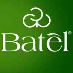 Батэль | Batel