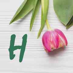 Н – Нежность