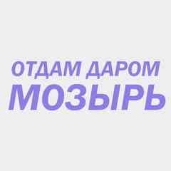 ОТДАМ ДАРОМ МОЗЫРЬ