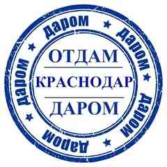 Отдам Даром Краснодар