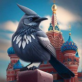 Awesome image