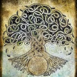 Awesome image