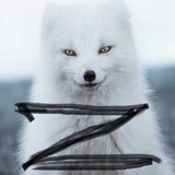 Awesome image