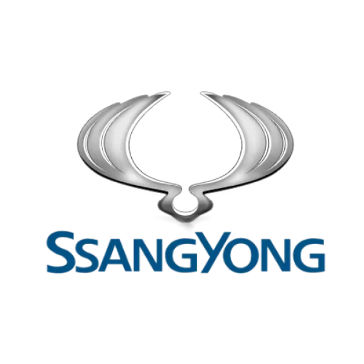 ssang-yong