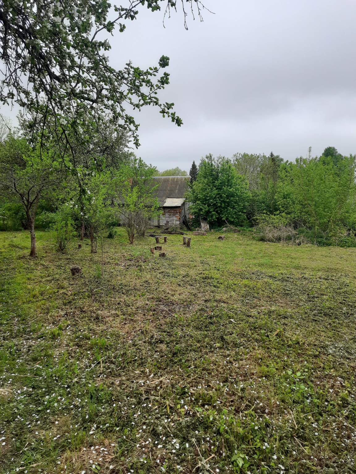 Объект по адресу Москва, д.38 