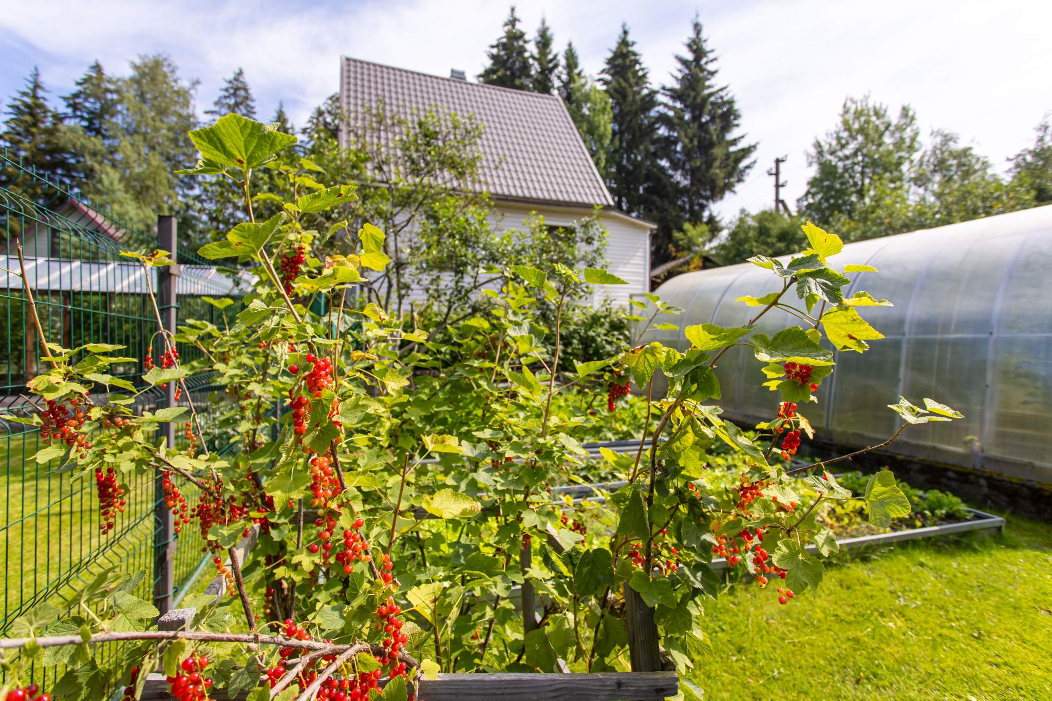 Объект по адресу Москва, Березовая улица 