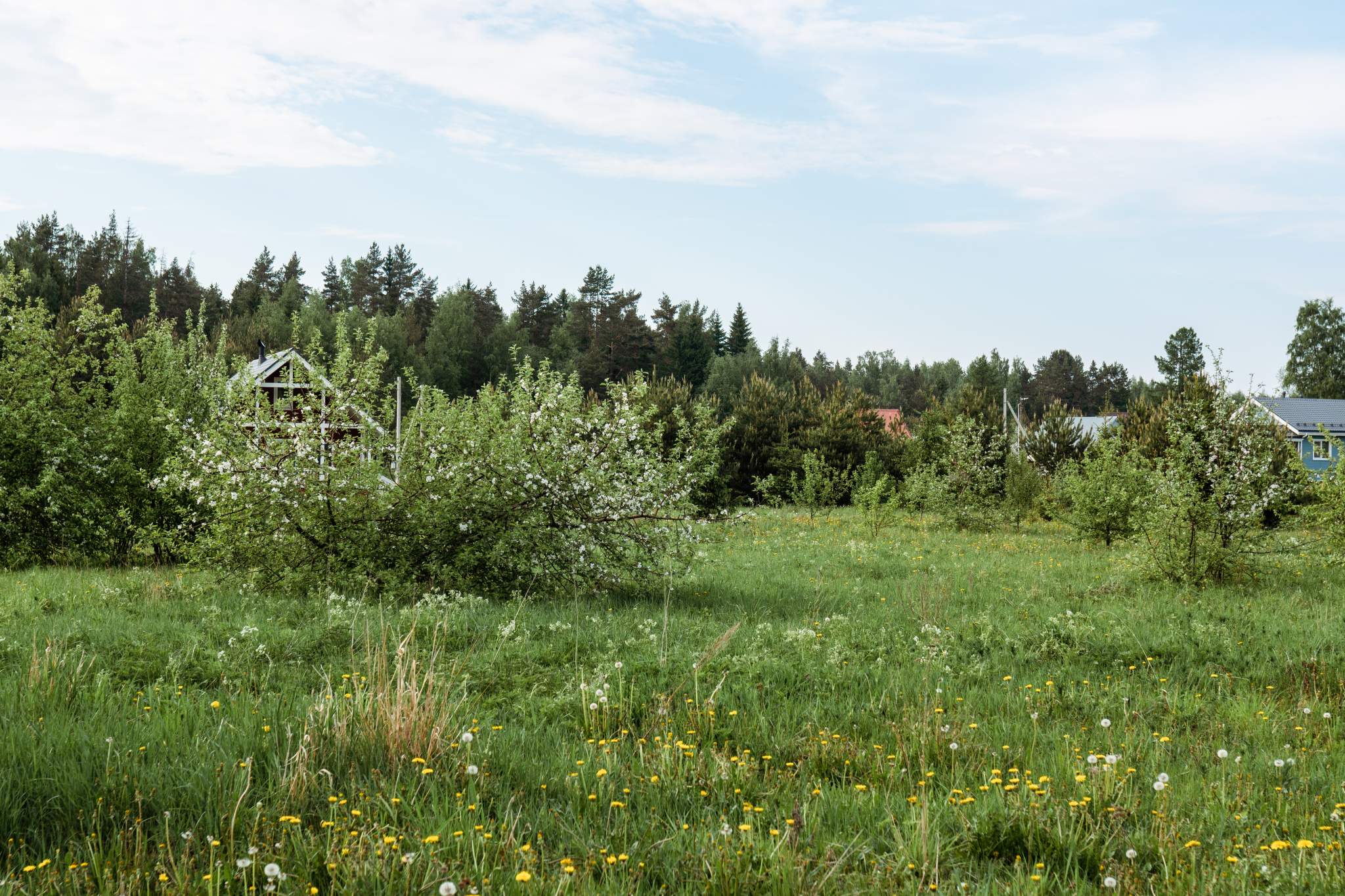 Объект по адресу Ленинградская обл, Кингисеппский р-н, ДНТ Стремление тер, Березовая аллея