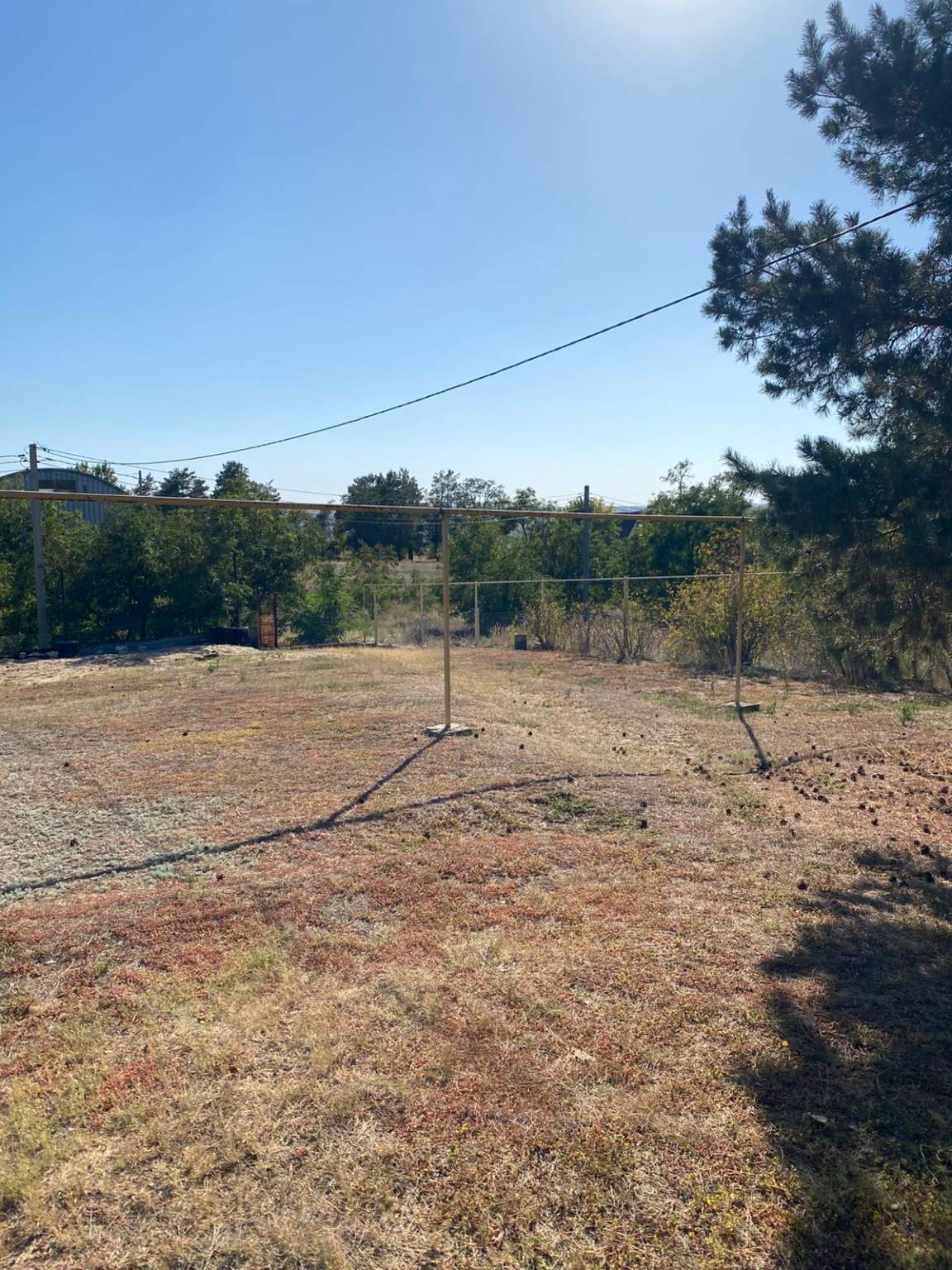 Объект по адресу Москва, Сосновая улица 