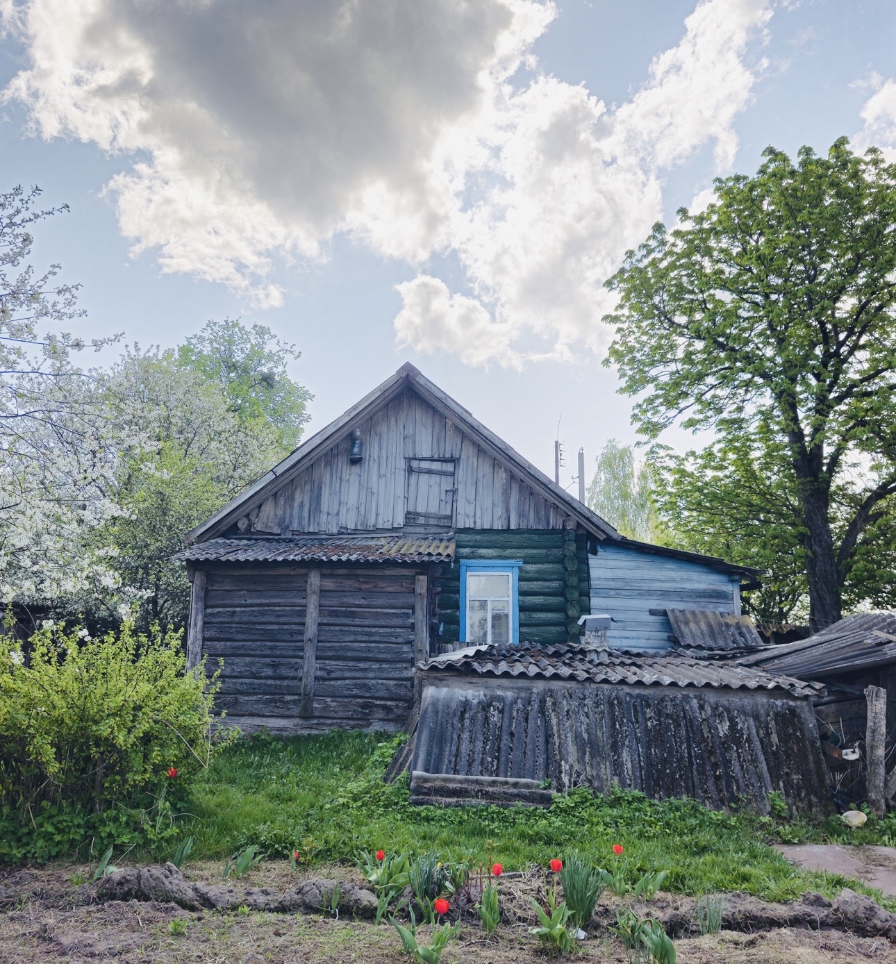 Объект по адресу Москва, Горького улица 