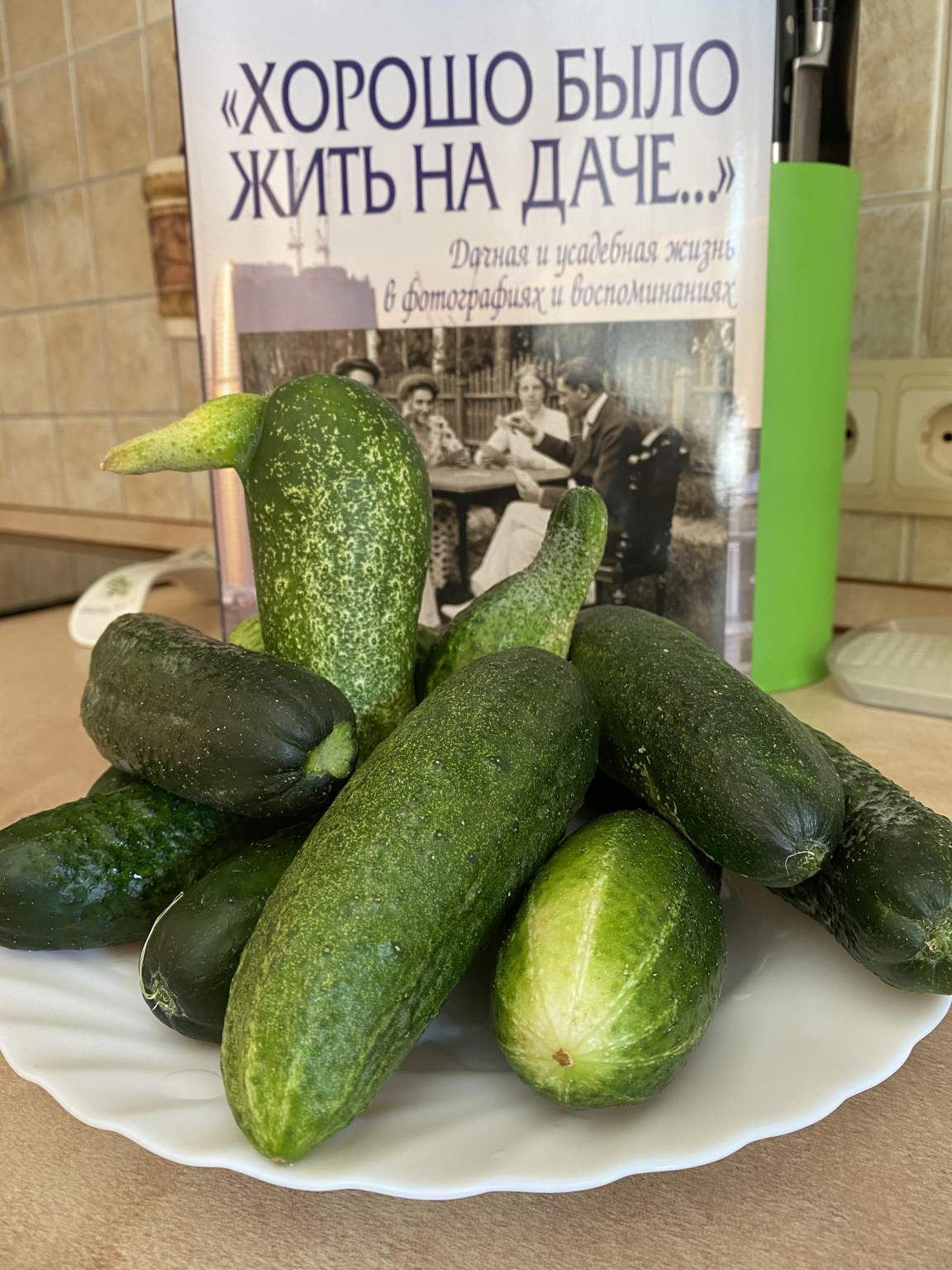 Объект по адресу Москва, Шлюзовая улица, д.12 Г 