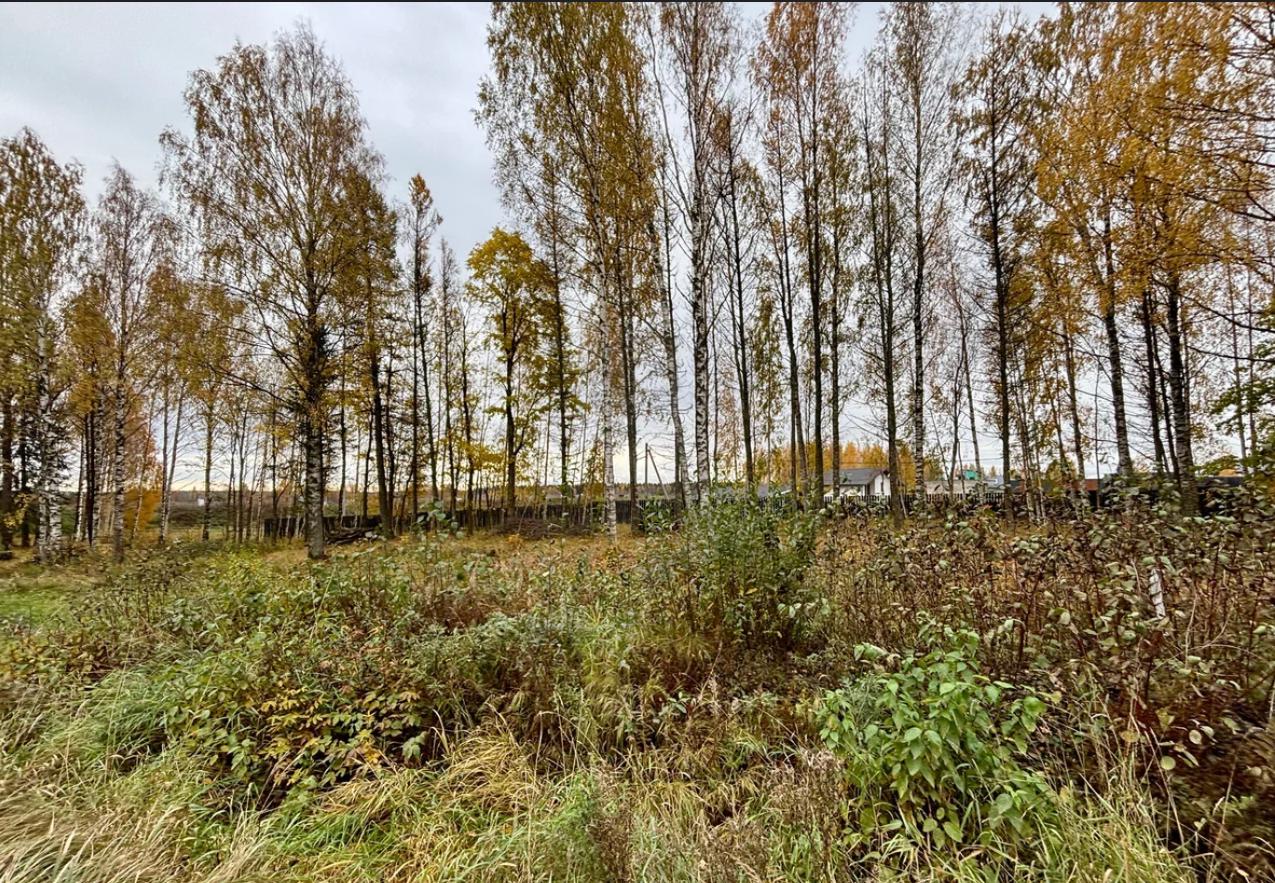 Объект по адресу Москва, Массив Скотное территория 