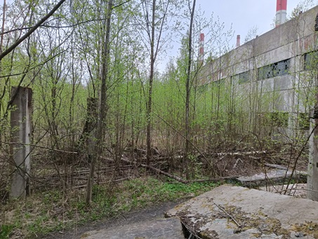 Объект по адресу Ленинградская обл, Киришский р-н, Энтузиастов ш, д. 1