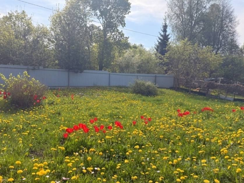 Объект по адресу Москва, Садовая улица 