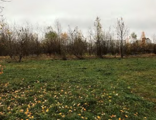 Объект по адресу Санкт-Петербург г, Мичманская ул