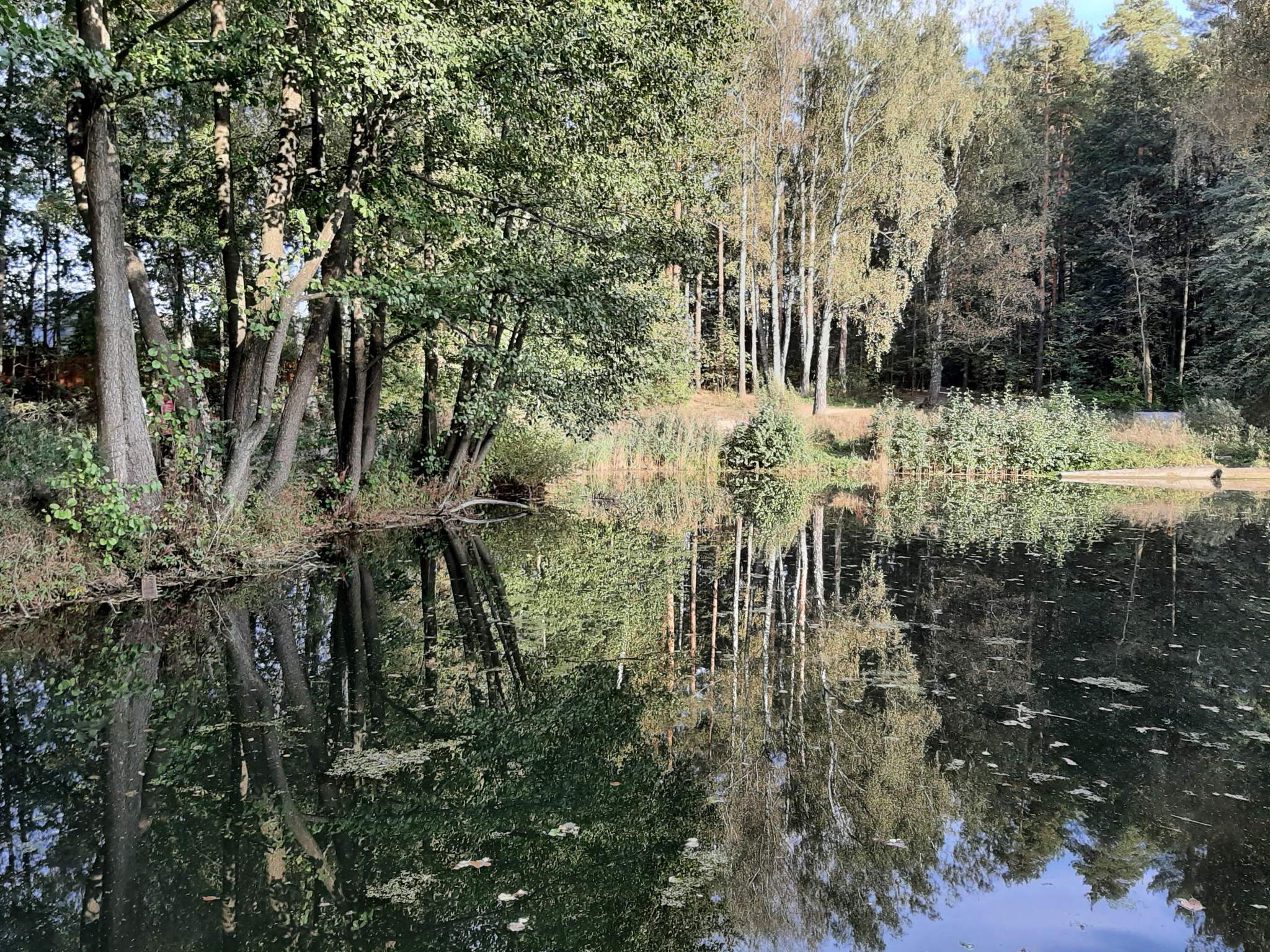 Объект по адресу Московская, Полевая улица 