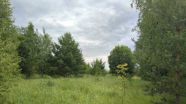Объект по адресу Москва, Белугино д 