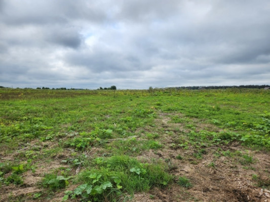 Объект по адресу Москва, Сумино п 