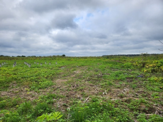 Объект по адресу Москва, Сумино п 