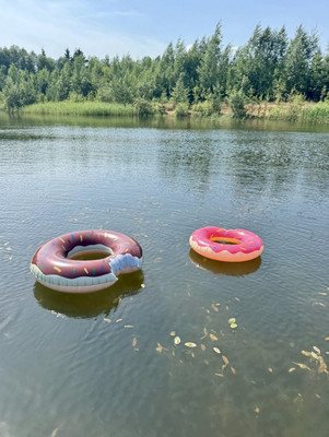 Объект по адресу Москва, Дружноселье п 