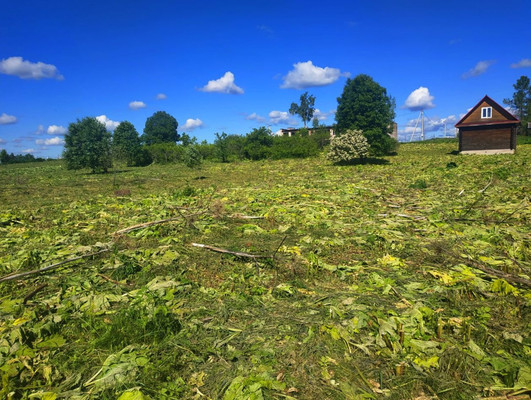 Объект по адресу Москва, Заручье д 