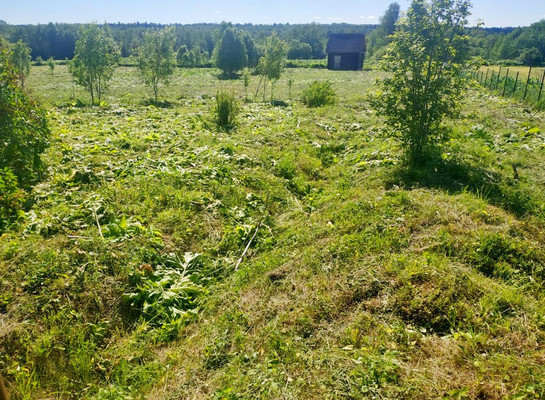 Объект по адресу Москва, Заручье д 