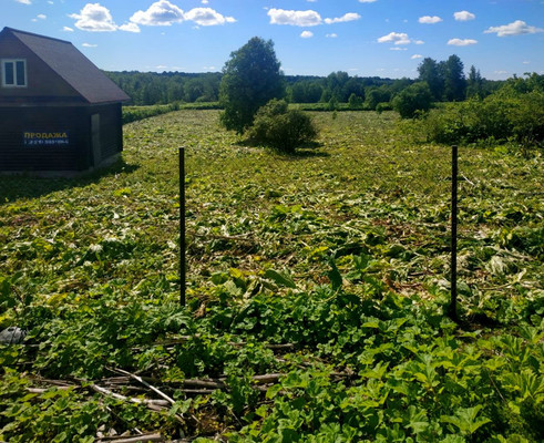 Объект по адресу Москва, Заручье д 
